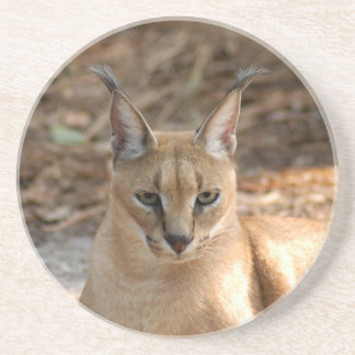 Caracal Lynx Onderzetter