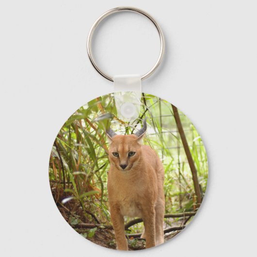 Caracal Lynx Sleutelhanger (Voorkant)