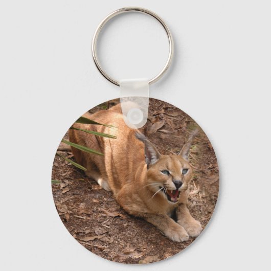 Caracal Lynx Sleutelhanger (Voorkant)