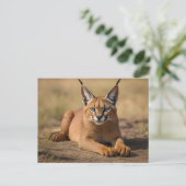 Caracal op savanne briefkaart (Staand voorkant)
