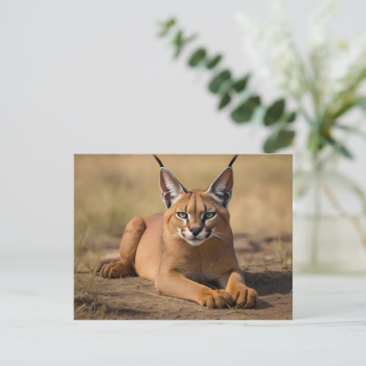 Caracal op savanne briefkaart (Staand voorkant)