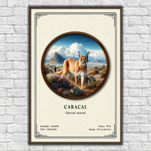 Caracal Zoologie Serie Poster