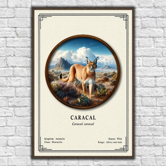 Caracal Zoologie Serie Poster