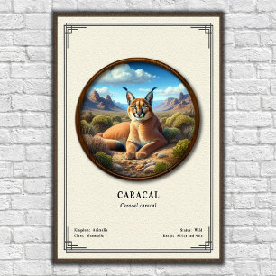 Caracal Zoologie Serie Poster
