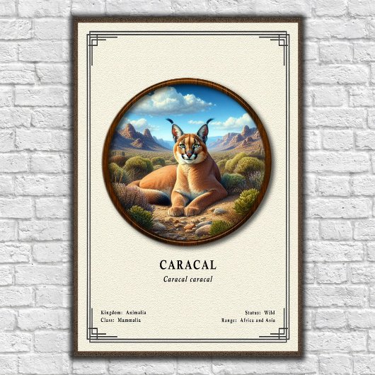 Caracal Zoologie Serie Poster
