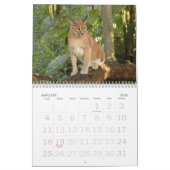 CaracalBCR058, Caracal Lynx Kalender (Jan 2026)