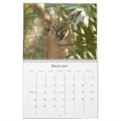 CaracalBCR058, Caracal Lynx Kalender (Mar 2027)