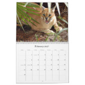 CaracalBCR058, Caracal Lynx Kalender (Feb 2027)