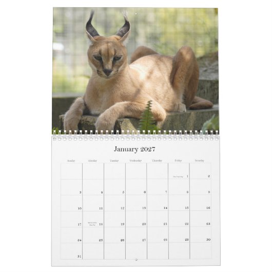 CaracalBCR058, Caracal Lynx Kalender (Jan 2027)