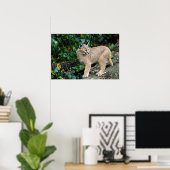 caracale kitten poster (Thuiskantoor)