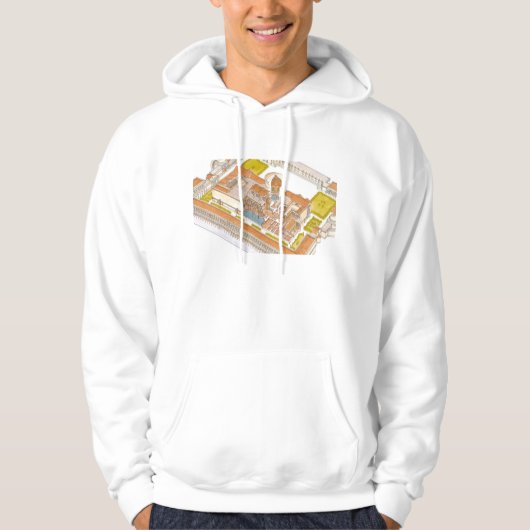 Caracalla baths Rome Hoodie (Voorkant)