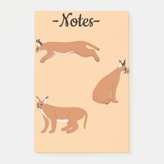Caracals  post-it® notes (Voorkant)