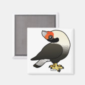 Caracara Display Magneet (Voorkant / Achterkant)