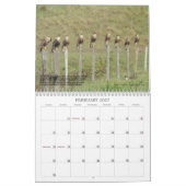 Caracaras van Florida Kalender (Feb 2027)
