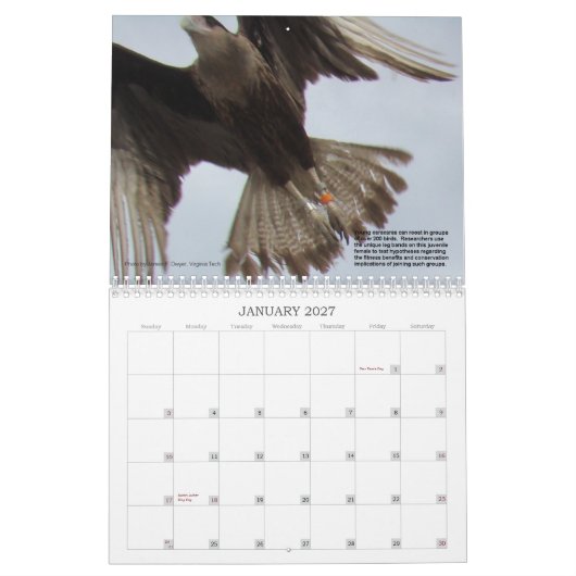 Caracaras van Florida Kalender (Jan 2027)