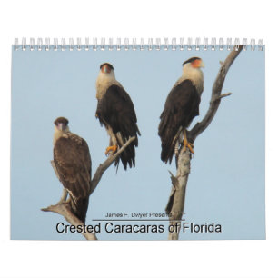 Caracaras van Florida Kalender