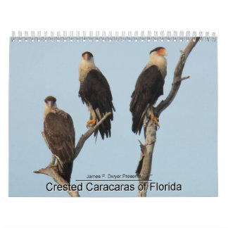 Caracaras van Florida Kalender