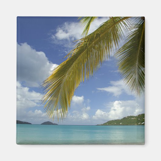 Caraïben, Amerikaanse Maagdeneilanden, St.Thomas, Magneet (Voorkant)