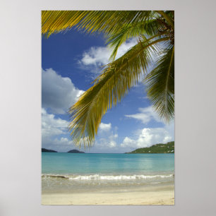 Caraïben, Amerikaanse Maagdeneilanden, St.Thomas, Poster