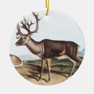 Caraïben, Amerikaanse Rein Deer (Tarandus furcifer Keramisch Ornament
