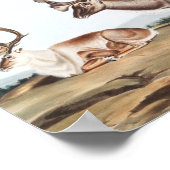 Caraïben, Amerikaanse Rein Deer (Tarandus furcifer Poster (Hoek)