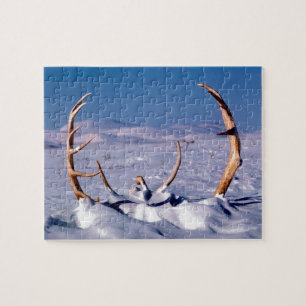 Caraïben Antlers in de sneeuw Legpuzzel