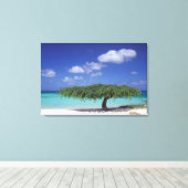 Caraïben, Aruba. Eagle Beach Canvas Afdruk (Insitu (Houten vloer))