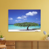 Caraïben, Aruba. Eagle Beach Canvas Afdruk (Insitu (Woonkamer))