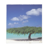 Caraïben, Aruba. Eagle Beach Notitieblok (Voorkant)