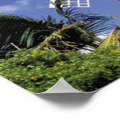 Caraïben, Aruba. Old Mill, omgezet in 'Mill' Poster (Hoek)