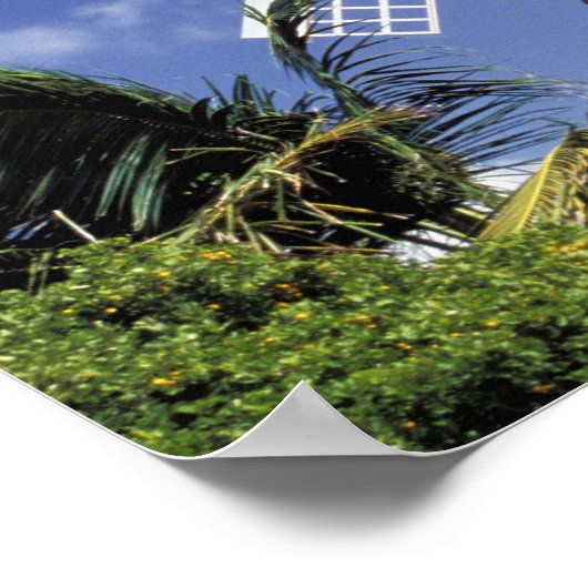 Caraïben, Aruba. Old Mill, omgezet in 'Mill' Poster (Hoek)