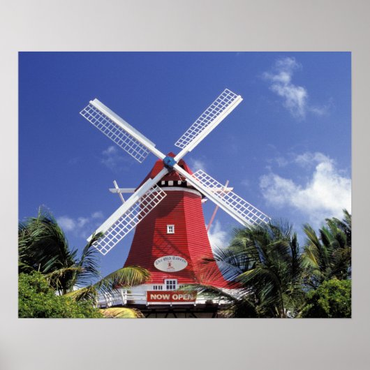 Caraïben, Aruba. Old Mill, omgezet in 'Mill' Poster (Voorkant)