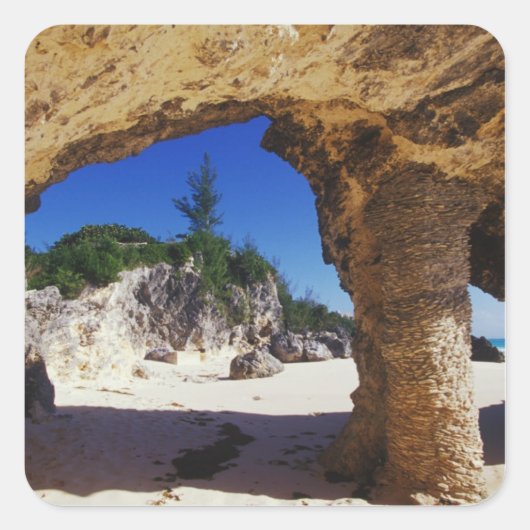 Caraïben, Bermuda, Tucker's Town. Naturel Vierkante Sticker (Voorkant)