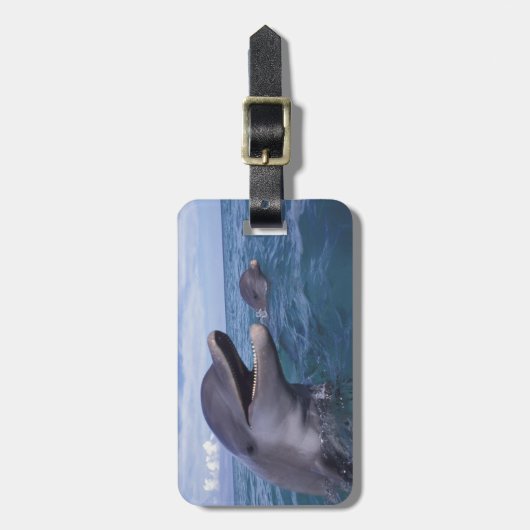 Caraïben, Bottlenose Bagagelabel (Voorkant verticaal)