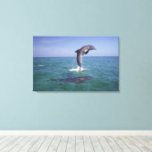 Caraïben, Bottlenose Canvas Afdruk (Insitu (Houten vloer))