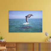 Caraïben, Bottlenose Canvas Afdruk (Insitu (Woonkamer))