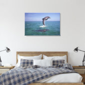 Caraïben, Bottlenose Canvas Afdruk (Insitu (Slaapkamer))