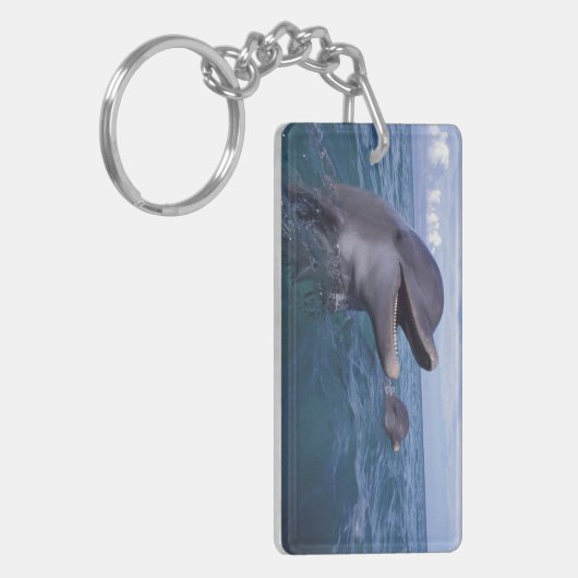 Caraïben, Bottlenose Sleutelhanger (Voorkant Links)