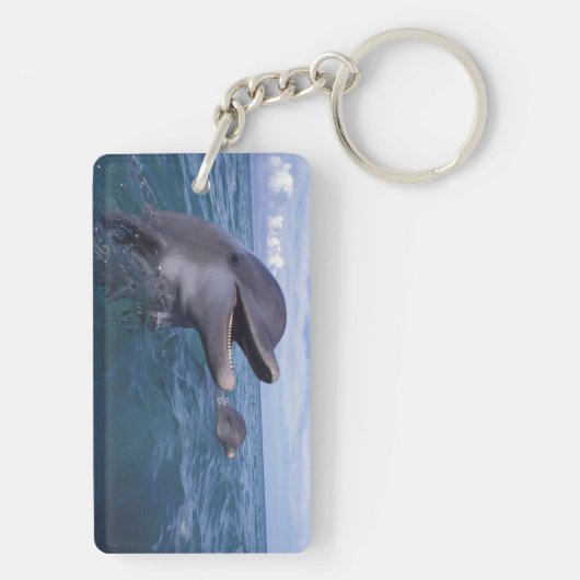 Caraïben, Bottlenose Sleutelhanger (achterkant)