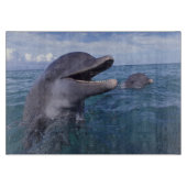 Caraïben, Bottlenose Snijplank (Voorkant)