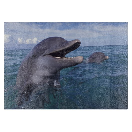 Caraïben, Bottlenose Snijplank (Voorkant)