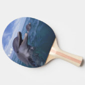 Caraïben, Bottlenose Tafeltennisbatje (Zijkant)