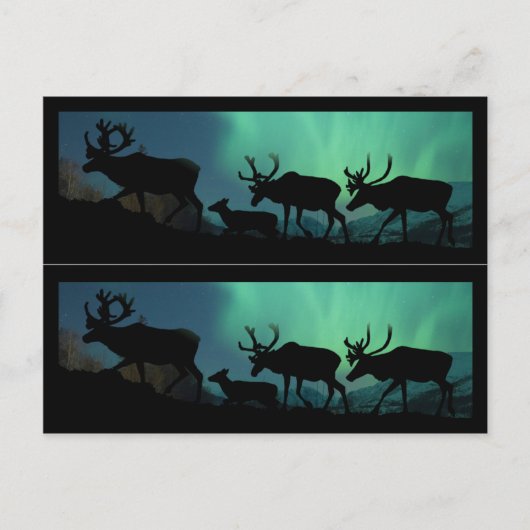 Caraïben en Noordelijke Lichten Briefkaart (Voorkant)