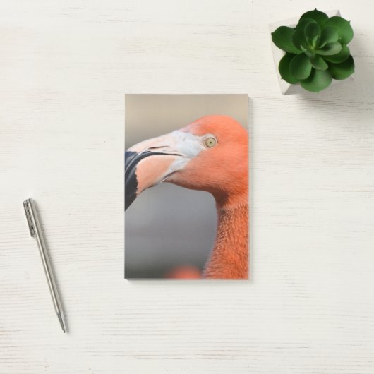 Caraïben Flamingo Post-it® Notes (Kantoor)