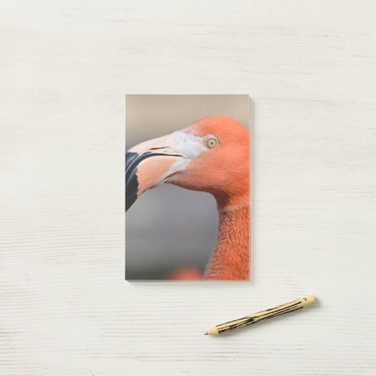 Caraïben Flamingo Post-it® Notes (Op bureau)