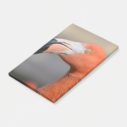 Caraïben Flamingo Post-it® Notes (Schuin)