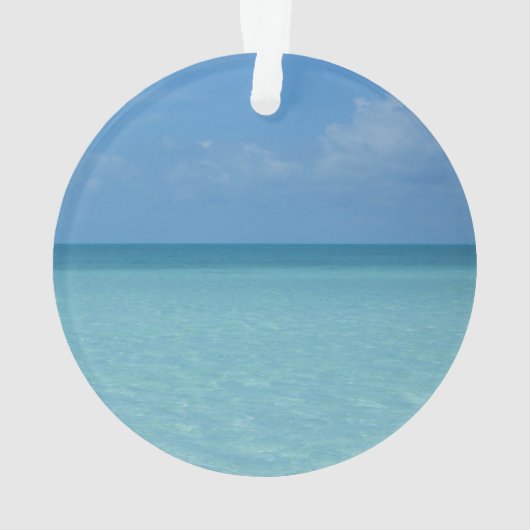 Caraïben Horizon Tropical Turquoise Blue Ornament (achterkant)