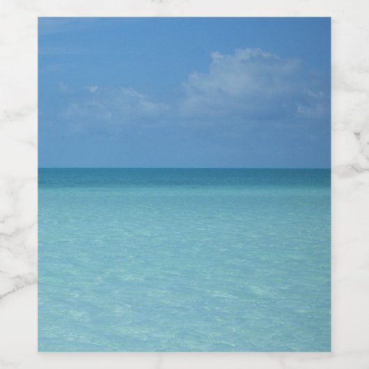 Caraïben Horizon Tropical Turquoise Blue Wijn Etiket (Enkel label)