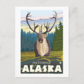 Caraïben in de Wilde - Anchorage, Alaska Briefkaart (Voorkant)