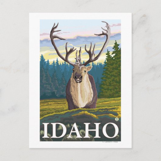 Caraïben in de Wilde - Idaho Briefkaart (Voorkant)